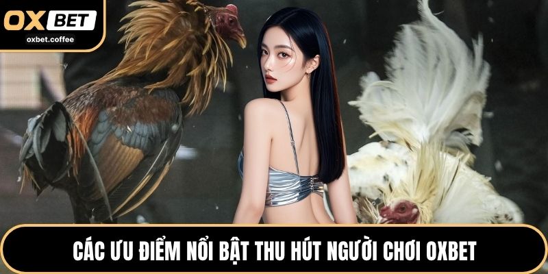 Các ưu điểm nổi bật thu hút người chơi OXBET